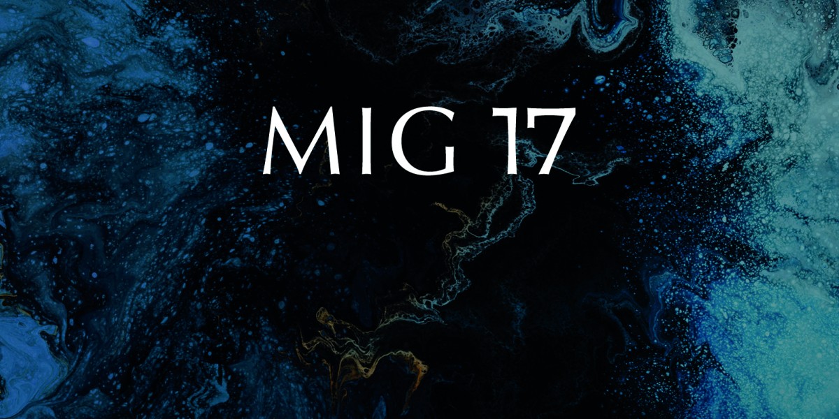 MIG Fonds 17